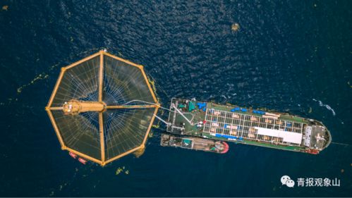 青島龍頭引領(lǐng)再升級 山東重磅規(guī)劃賦能，景區(qū)管理迎發(fā)展新機(jī)